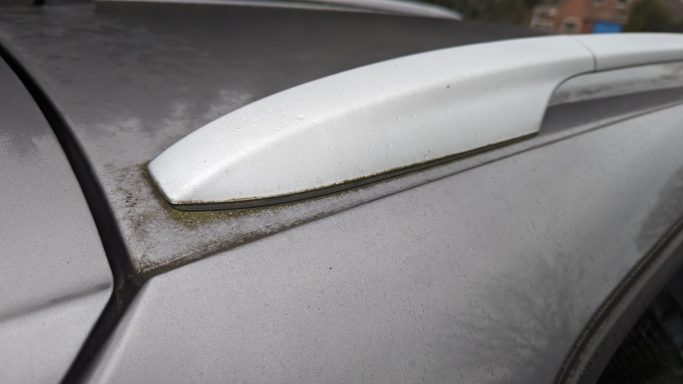 Moos auf Autodach